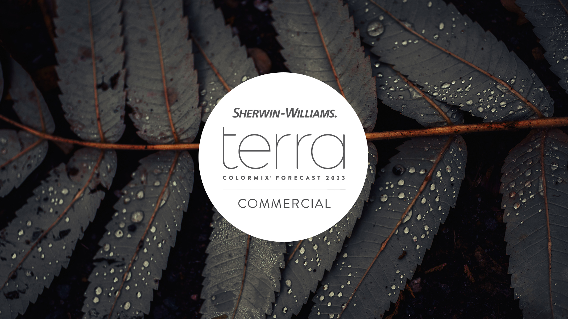 TERRA - Commerical Colormix 2023